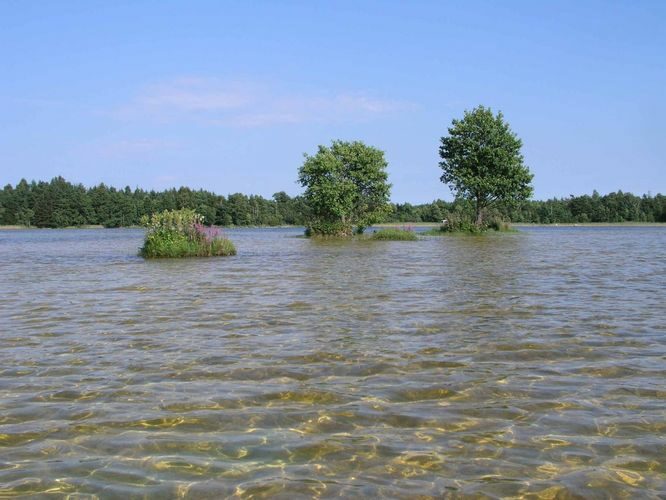 Maakond: Saaremaa Veekogu nimi: Sarapiku järv Pildistamise aeg: 11. august 2004 Pildistaja: H. Timm Pildistamise koht: teadmata Asimuut: