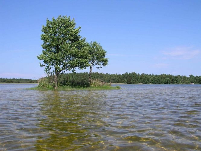 Maakond: Saaremaa Veekogu nimi: Sarapiku järv Pildistamise aeg: 11. august 2004 Pildistaja: H. Timm Pildistamise koht: teadmata Asimuut: