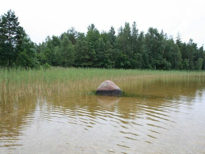 Maakond: Saaremaa Veekogu nimi: Sarapiku järv Pildistamise aeg: 30. juuli 2007 Pildistaja: H. Timm Pildistamise koht: teadmata Asimuut: