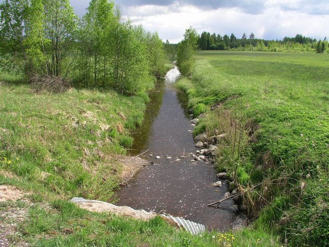 Maakond: Pärnumaa Veekogu nimi: Sauga Pildistamise aeg: 15. mai 2008 Pildistaja: H. Timm Pildistamise koht: Pärnjõe Asimuut: