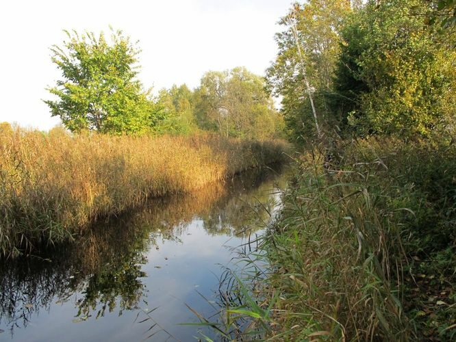 Maakond: Pärnumaa Veekogu nimi: Sauga jõgi Pildistamise aeg: 25. september 2010 Pildistaja: H. Timm Pildistamise koht: Risturi oja suue Asimuut: