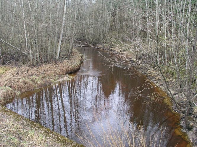 Maakond: Ida-Virumaa Veekogu nimi: Savala Pildistamise aeg: 24. aprill 2007 Pildistaja: H. Timm Pildistamise koht: Koolma sillalt Asimuut: