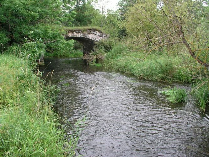 Maakond: Lääne-Virumaa Veekogu nimi: Selja jõgi Pildistamise aeg: august 2003 Pildistaja: H. Timm Pildistamise koht: Arkna Asimuut: