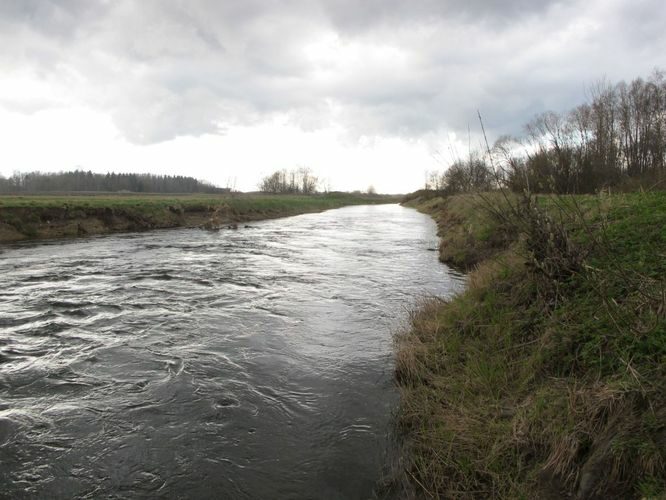 Maakond: Lääne-Virumaa Veekogu nimi: Selja jõgi Pildistamise aeg: 1. mai 2010 Pildistaja: H. Timm Pildistamise koht: Essu Asimuut: