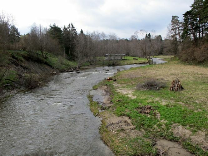 Maakond: Lääne-Virumaa Veekogu nimi: Selja jõgi Pildistamise aeg: 2. mai 2010 Pildistaja: H. Timm Pildistamise koht: Karepa Asimuut: