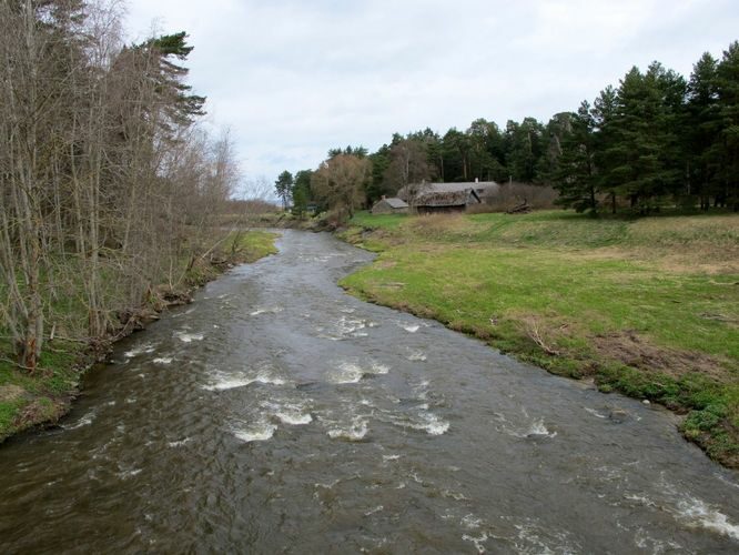 Maakond: Lääne-Virumaa Veekogu nimi: Selja jõgi Pildistamise aeg: 2. mai 2010 Pildistaja: H. Timm Pildistamise koht: Karepa Asimuut: