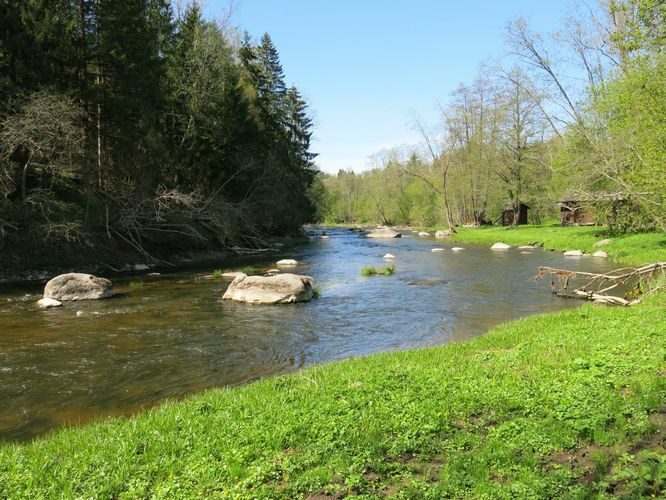 Maakond: Ida-Virumaa Veekogu nimi: Selja jõgi Pildistamise aeg: 15. mai 2013 Pildistaja: H. Timm Pildistamise koht: Jõekääru Asimuut: