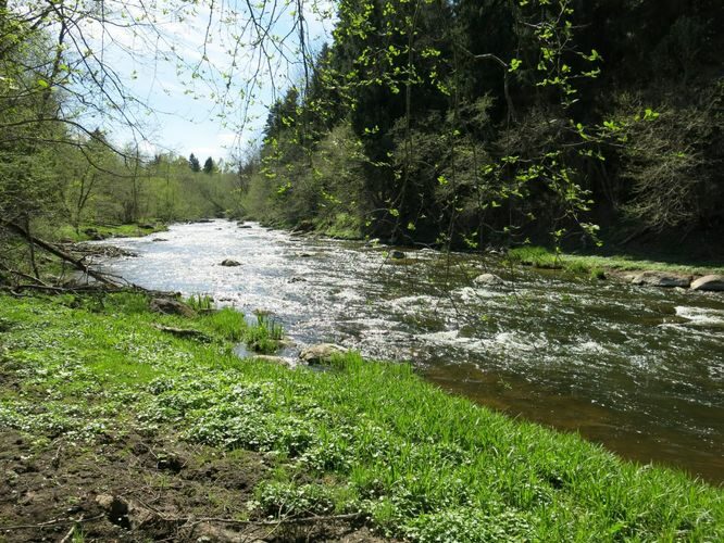 Maakond: Ida-Virumaa Veekogu nimi: Selja jõgi Pildistamise aeg: 15. mai 2013 Pildistaja: H. Timm Pildistamise koht: Jõekääru Asimuut: