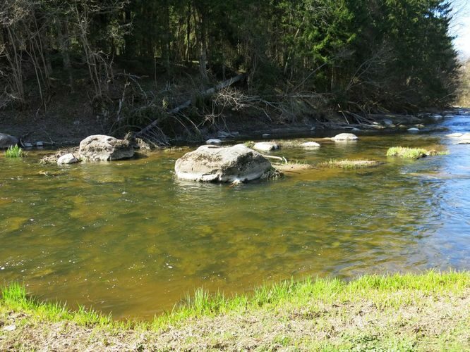 Maakond: Lääne-Virumaa Veekogu nimi: Selja jõgi Pildistamise aeg: 26. aprill 2014 Pildistaja: H. Timm Pildistamise koht: Jõekääru Asimuut: