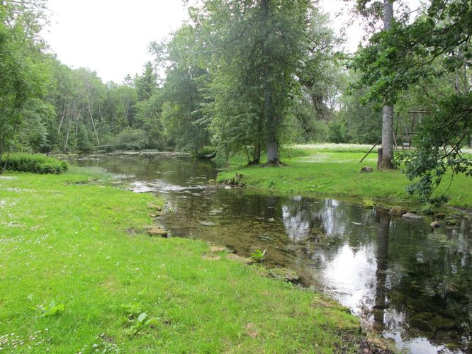 Maakond: Lääne-Virumaa Veekogu nimi: Simuna allikas Pildistamise aeg: 2. juuli 2010 Pildistaja: H. Timm Pildistamise koht: teadmata Asimuut: