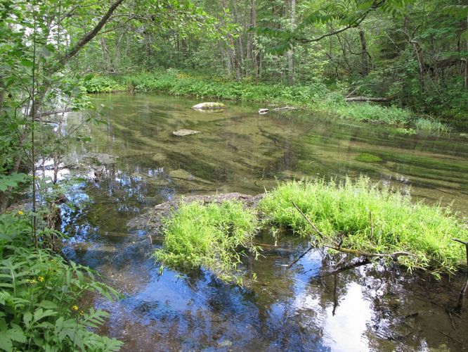 Maakond: Lääne-Virumaa Veekogu nimi: Simuna allikas Pildistamise aeg: 2. juuli 2010 Pildistaja: H. Timm Pildistamise koht: teadmata Asimuut: