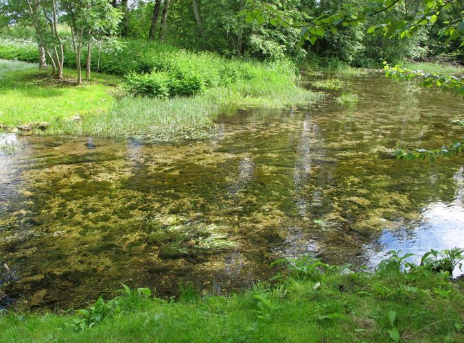 Maakond: Lääne-Virumaa Veekogu nimi: Simuna allikas Pildistamise aeg: 2. juuli 2010 Pildistaja: H. Timm Pildistamise koht: teadmata Asimuut: