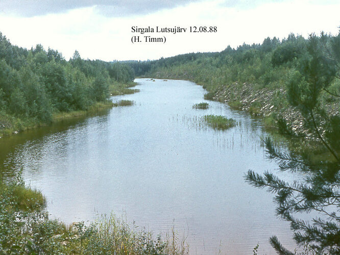 Maakond: Ida-Virumaa Veekogu nimi: Sirgala Lutsujärv Pildistamise aeg: 12. august 1988 Pildistaja: H. Timm Pildistamise koht: teadmata Asimuut: