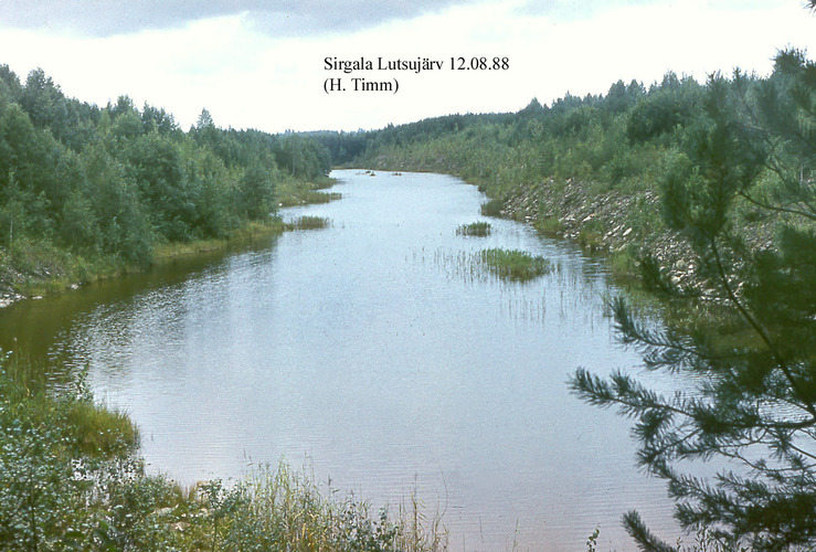 Maakond: Ida-Virumaa Veekogu nimi: Sirgala Lutsujärv Pildistamise aeg: 12. august 1988 Pildistaja: H. Timm Pildistamise koht: teadmata Asimuut: