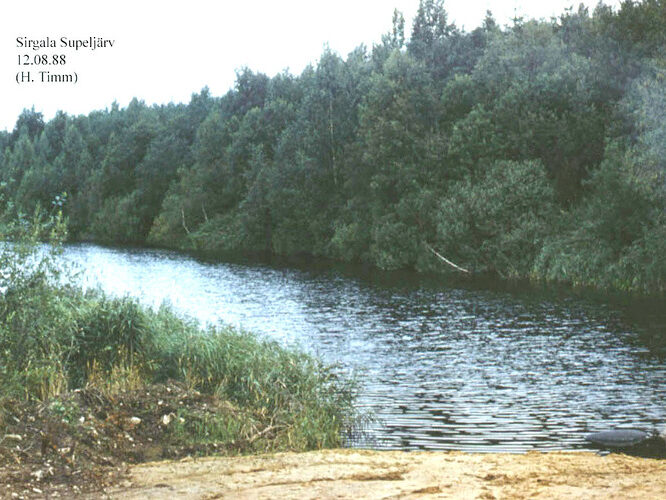 Maakond: Ida-Virumaa Veekogu nimi: Sirgala Supeljärv Pildistamise aeg: 12. august 1988 Pildistaja: H. Timm Pildistamise koht: teadmata Asimuut: