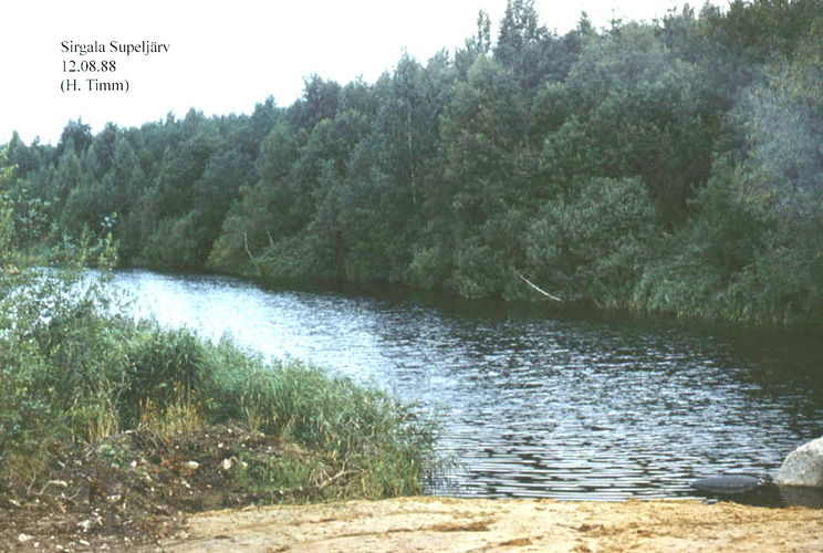 Maakond: Ida-Virumaa Veekogu nimi: Sirgala Supeljärv Pildistamise aeg: 12. august 1988 Pildistaja: H. Timm Pildistamise koht: teadmata Asimuut: