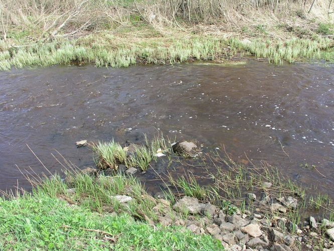 Maakond: Ida-Virumaa Veekogu nimi: Sõtke jõgi Pildistamise aeg: 6. mai 2009 Pildistaja: H. Timm Pildistamise koht: Vaivara Asimuut: