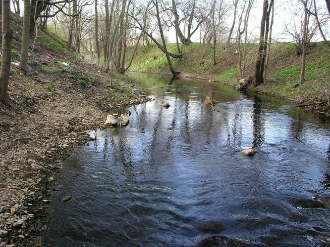 Maakond: Ida-Virumaa Veekogu nimi: Sõtke jõgi Pildistamise aeg: 6. mai 2009 Pildistaja: H. Timm Pildistamise koht: Sillamäe Asimuut: