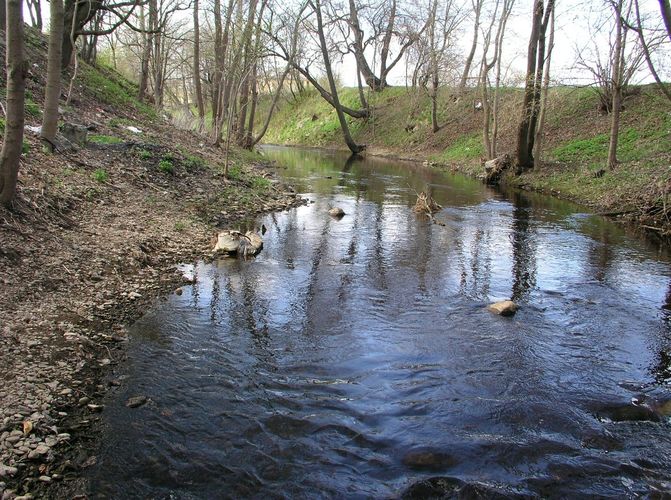 Maakond: Ida-Virumaa Veekogu nimi: Sõtke jõgi Pildistamise aeg: 6. mai 2009 Pildistaja: H. Timm Pildistamise koht: Sillamäe Asimuut: