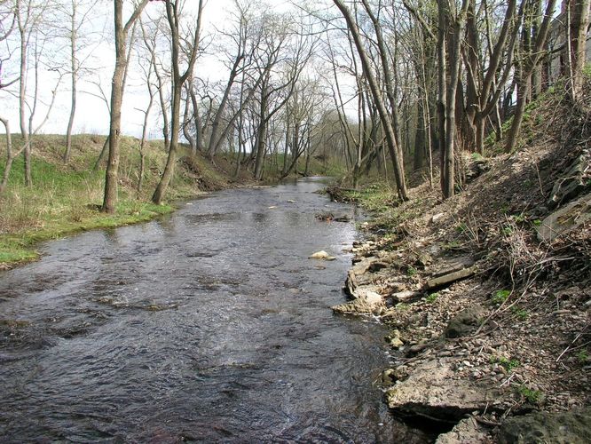 Maakond: Ida-Virumaa Veekogu nimi: Sõtke jõgi Pildistamise aeg: 6. mai 2009 Pildistaja: H. Timm Pildistamise koht: Sillamäe Asimuut: