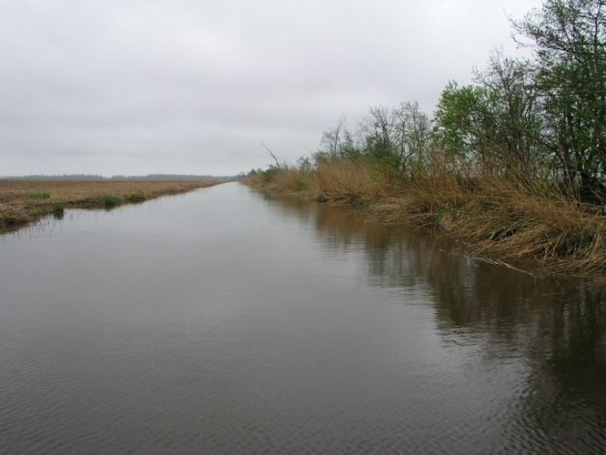 Maakond: Läänemaa Veekogu nimi: Suitsu (Tuudi) jõgi Pildistamise aeg: 15. mai 2007 Pildistaja: H. Timm Pildistamise koht: alamjooks Asimuut: