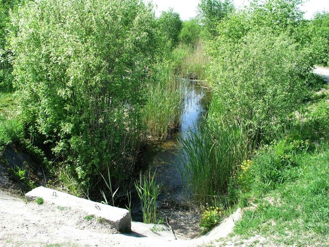 Maakond: Saaremaa Veekogu nimi: Suurlahe kanal Pildistamise aeg: 24. mai 2008 Pildistaja: H. Timm Pildistamise koht: teadmata Asimuut: