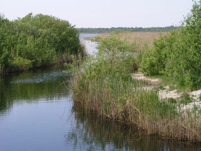 Maakond: Saaremaa Veekogu nimi: Suurlahe kanal Pildistamise aeg: 24. mai 2008 Pildistaja: H. Timm Pildistamise koht: teadmata Asimuut: