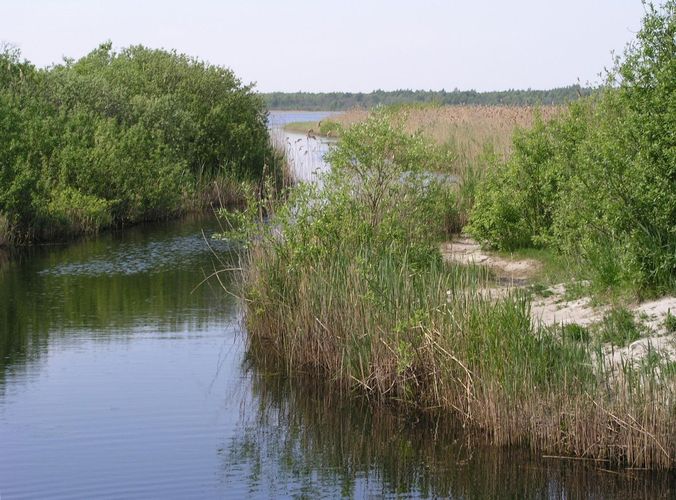 Maakond: Saaremaa Veekogu nimi: Suurlahe kanal Pildistamise aeg: 24. mai 2008 Pildistaja: H. Timm Pildistamise koht: teadmata Asimuut: