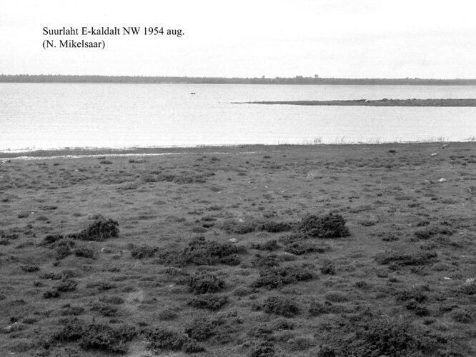 Maakond: Saaremaa Veekogu nimi: Suurlaht Pildistamise aeg: august 1954 Pildistaja: N. Mikelsaar Pildistamise koht: E kaldalt Asimuut: NW