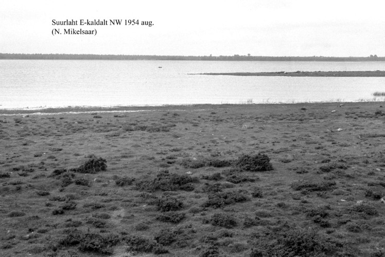 Maakond: Saaremaa Veekogu nimi: Suurlaht Pildistamise aeg: august 1954 Pildistaja: N. Mikelsaar Pildistamise koht: E kaldalt Asimuut: NW