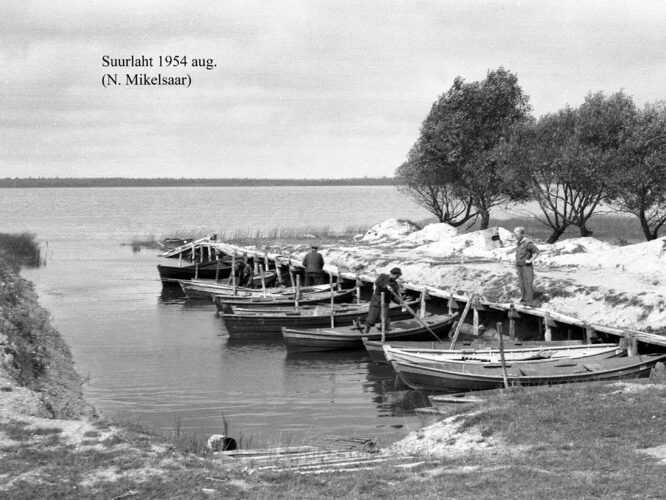 Maakond: Saaremaa Veekogu nimi: Suurlaht Pildistamise aeg: august 1954 Pildistaja: N. Mikelsaar Pildistamise koht: teadmata Asimuut: