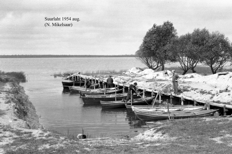 Maakond: Saaremaa Veekogu nimi: Suurlaht Pildistamise aeg: august 1954 Pildistaja: N. Mikelsaar Pildistamise koht: teadmata Asimuut: