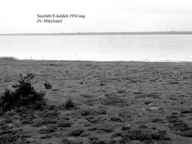 Maakond: Saaremaa Veekogu nimi: Suurlaht Pildistamise aeg: august 1954 Pildistaja: N. Mikelsaar Pildistamise koht: E kaldalt Asimuut: