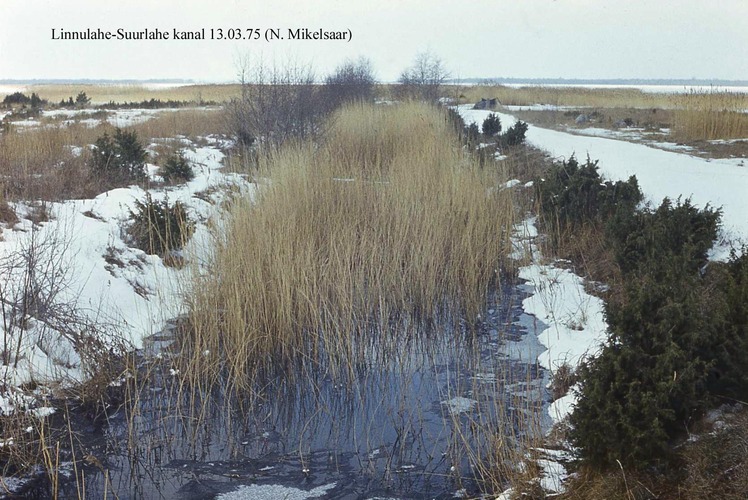 Maakond: Saaremaa Veekogu nimi: Suurlaht Pildistamise aeg: 13. märts 1975 Pildistaja: N. Mikelsaar Pildistamise koht: kanal Linnulahest, taga j Asimuut: