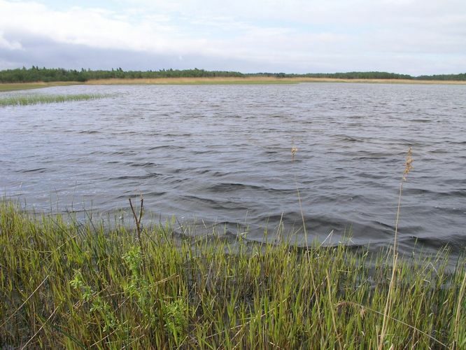 Maakond: Saaremaa Veekogu nimi: Suurlaht Pildistamise aeg: 30. mai 2006 Pildistaja: H. Timm Pildistamise koht: teadmata Asimuut: