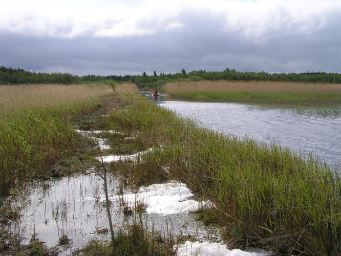 Maakond: Saaremaa Veekogu nimi: Suurlaht Pildistamise aeg: 30. mai 2006 Pildistaja: H. Timm Pildistamise koht: teadmata Asimuut: