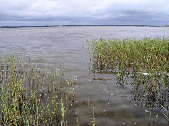 Maakond: Saaremaa Veekogu nimi: Suurlaht Pildistamise aeg: 30. mai 2006 Pildistaja: H. Timm Pildistamise koht: teadmata Asimuut: