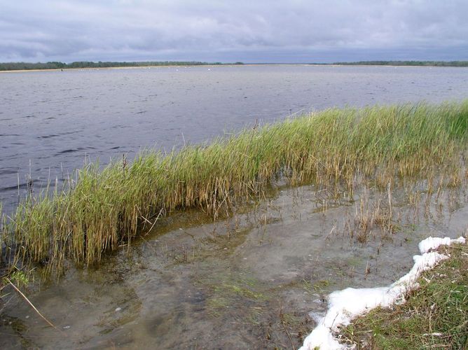 Maakond: Saaremaa Veekogu nimi: Suurlaht Pildistamise aeg: 30. mai 2006 Pildistaja: H. Timm Pildistamise koht: teadmata Asimuut: