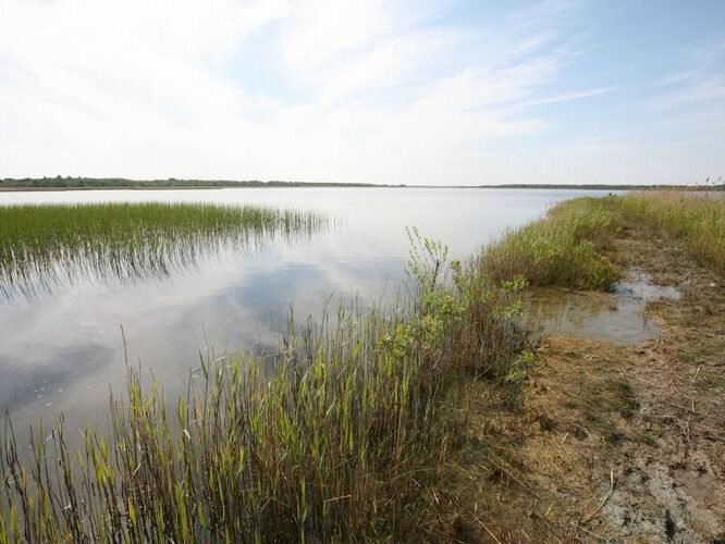 Maakond: Saaremaa Veekogu nimi: Suurlaht Pildistamise aeg: 24. mai 2008 Pildistaja: H. Timm Pildistamise koht: teadmata Asimuut: