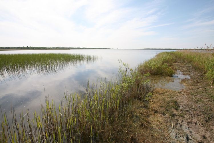 Maakond: Saaremaa Veekogu nimi: Suurlaht Pildistamise aeg: 24. mai 2008 Pildistaja: H. Timm Pildistamise koht: teadmata Asimuut: