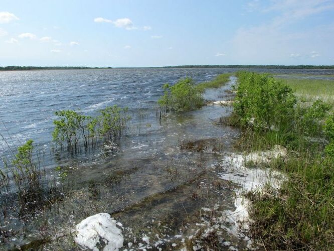 Maakond: Saaremaa Veekogu nimi: Suurlaht Pildistamise aeg: 24. mai 2010 Pildistaja: H. Timm Pildistamise koht: teadmata Asimuut: