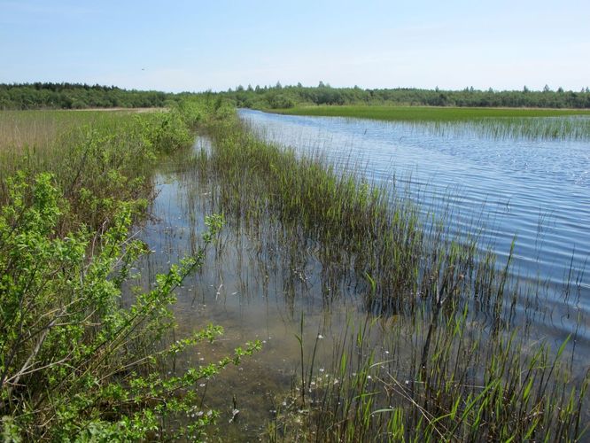 Maakond: Saaremaa Veekogu nimi: Suurlaht Pildistamise aeg: 22. mai 2012 Pildistaja: H. Timm Pildistamise koht: teadmata Asimuut: