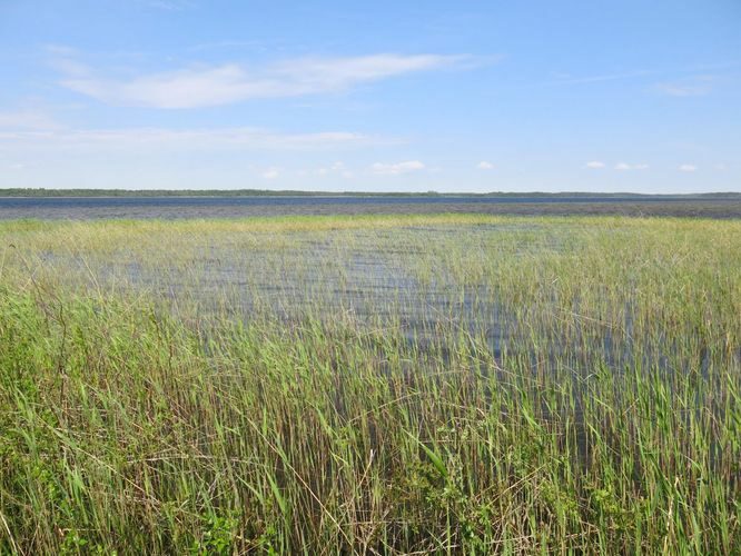 Maakond: Saaremaa Veekogu nimi: Suurlaht Pildistamise aeg: 27. mai 2013 Pildistaja: H. Timm Pildistamise koht: teadmata Asimuut: