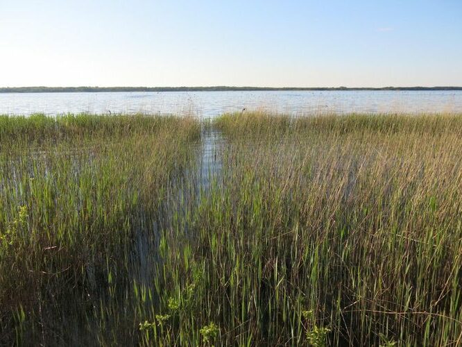 Maakond: Saaremaa Veekogu nimi: Suurlaht Pildistamise aeg: 21. mai 2014 Pildistaja: H. Timm Pildistamise koht: teadmata Asimuut: