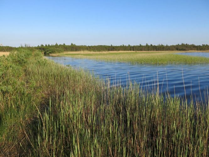 Maakond: Saaremaa Veekogu nimi: Suurlaht Pildistamise aeg: 21. mai 2014 Pildistaja: H. Timm Pildistamise koht: teadmata Asimuut: