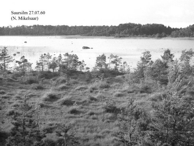 Maakond: Saaremaa Veekogu nimi: Suursilm Pildistamise aeg: 27. juuli 1960 Pildistaja: N. Mikelsaar Pildistamise koht: teadmata Asimuut: