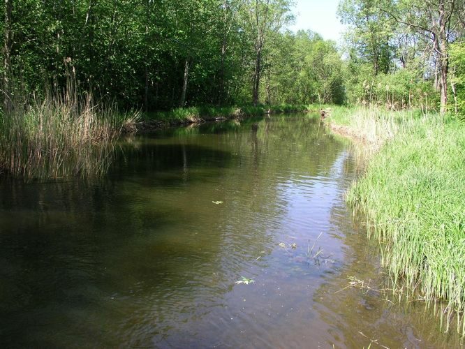 Maakond: Läänemaa Veekogu nimi: Taebla Pildistamise aeg: 24. mai 2008 Pildistaja: H. Timm Pildistamise koht: alamjooks Asimuut: