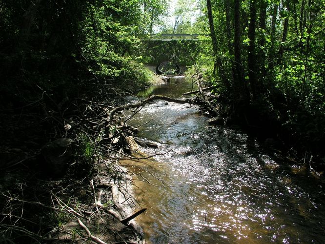 Maakond: Läänemaa Veekogu nimi: Taebla Pildistamise aeg: 24. mai 2008 Pildistaja: H. Timm Pildistamise koht: Palivere Asimuut: