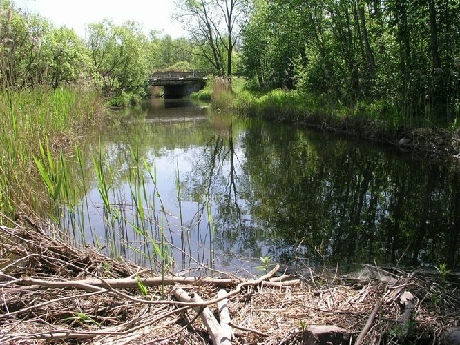 Maakond: Läänemaa Veekogu nimi: Taebla Pildistamise aeg: 24. mai 2008 Pildistaja: H. Timm Pildistamise koht: alamjooks Asimuut: