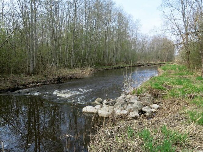 Maakond: Läänemaa Veekogu nimi: Taebla jõgi Pildistamise aeg: 11. mai 2013 Pildistaja: H. Timm Pildistamise koht: alamjooks Asimuut: